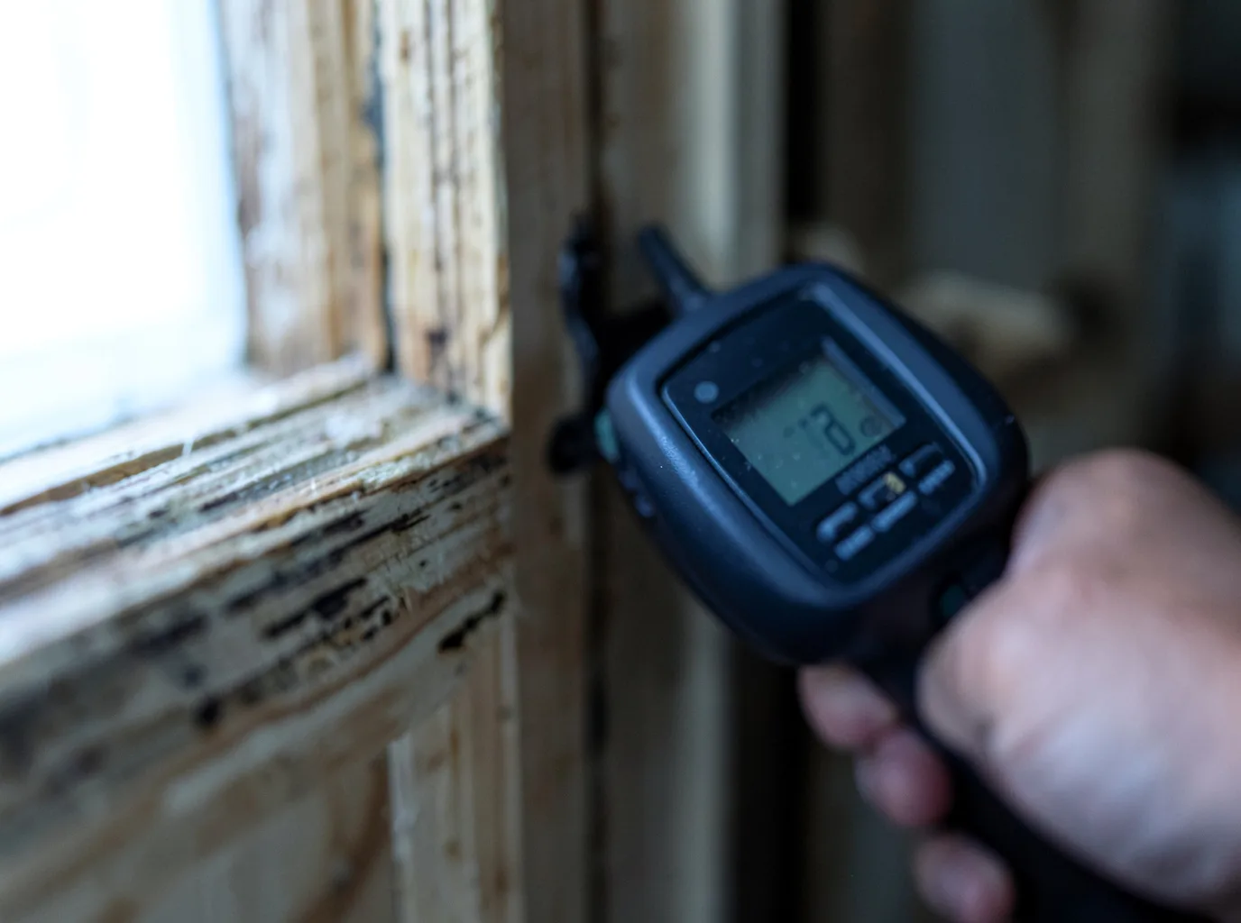 Moisture Inspection And Documentation in Exira, IA